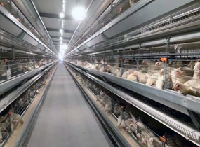 LED驱动电源，LED电源，LED防水驱动电源，户外调光电源，室外路灯电源，深圳明仕达智能科技有限公司